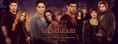 /album/fotogaleria/poster-amanecer-breaking-dawn-parte-1-frances-twilight-crepusculo-saga-eclipse-1-jpg/
